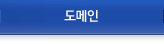 도메인