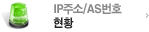 IP주소/AS번호 현황